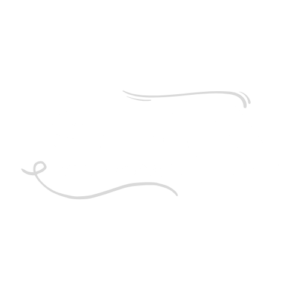 Seo Power Agency